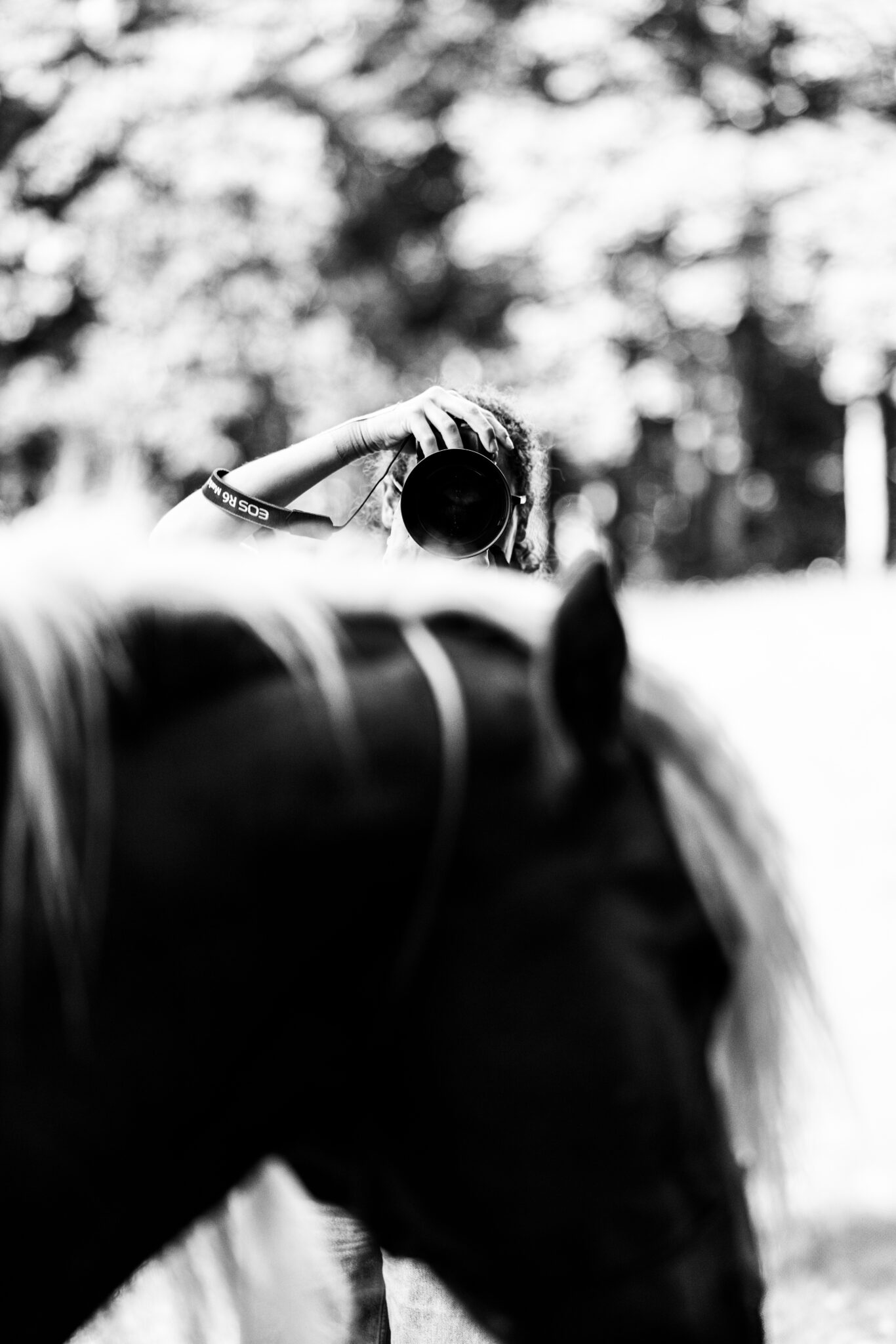 © Clémence BEDOUET